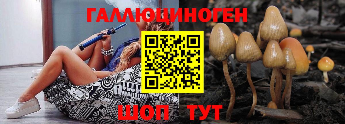 Псилоцибиновые грибы Magic Shrooms Канаш